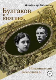 бесплатно читать книгу Булгаков и княгиня автора Владимир Колганов