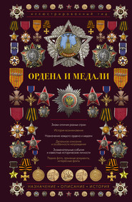 бесплатно читать книгу Ордена и медали автора Игорь Гусев