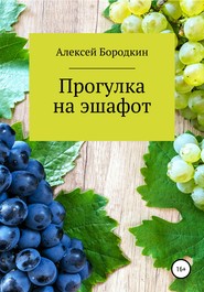 бесплатно читать книгу Прогулка на эшафот автора Алексей Бородкин