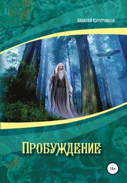 бесплатно читать книгу Пробуждение автора Алексей Курятников