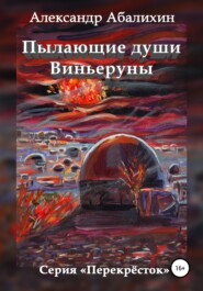 бесплатно читать книгу Пылающие души Виньеруны автора Александр Абалихин