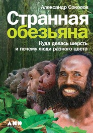 бесплатно читать книгу Странная обезьяна автора Александр Соколов