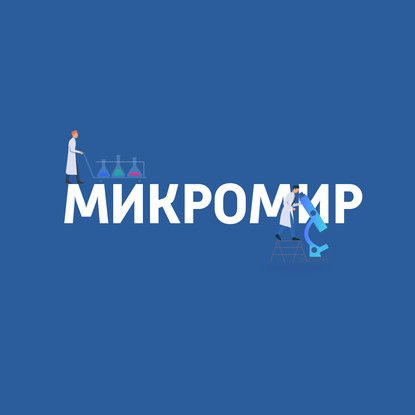 Метаболизм жиров в человеческом организме