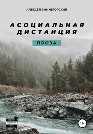 бесплатно читать книгу Асоциальная дистанция автора Алексей Зимнегорский