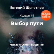 бесплатно читать книгу Выбор пути автора Евгений Щепетнов