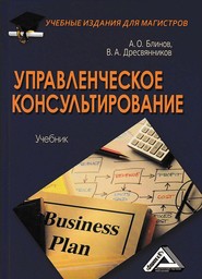 бесплатно читать книгу Управленческое консультирование автора Владимир Дресвянников