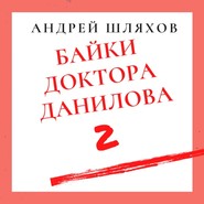 бесплатно читать книгу Байки доктора Данилова 2 автора Андрей Шляхов