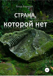 бесплатно читать книгу Страна, которой нет автора Влад Борисов