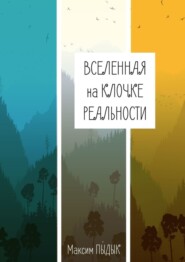 бесплатно читать книгу Вселенная на клочке реальности автора Максим Пыдык