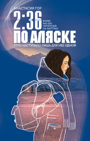 бесплатно читать книгу 2:36 по Аляске автора Анастасия Гор