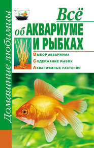 бесплатно читать книгу Всё об аквариуме и рыбках автора Дарья Костина