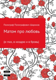 бесплатно читать книгу Матом про любовь (в глаз, в ноздрю и в бровь) автора Ильдар Мухамеджанов