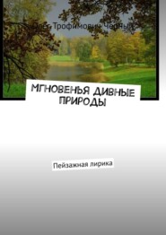 бесплатно читать книгу Мгновенья дивные природы. Пейзажная лирика автора Олег Черный