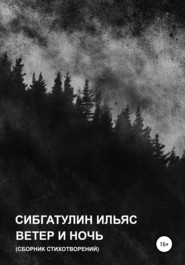 бесплатно читать книгу Ветер и ночь автора Ильяс Сибгатулин