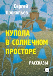 бесплатно читать книгу Купола в солнечном просторе автора Сергей Прокопьев