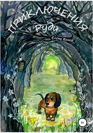 бесплатно читать книгу Приключения Руди автора Елена Есина