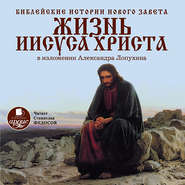 бесплатно читать книгу Библейские истории Нового Завета: Жизнь Иисуса Христа автора Александр Лопухин
