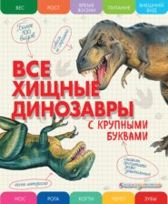 бесплатно читать книгу Все хищные динозавры с крупными буквами автора Елена Ананьева