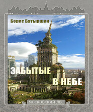 бесплатно читать книгу Забытые в небе автора Борис Батыршин