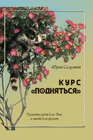 бесплатно читать книгу Курс «Подняться» автора Юрий Селуянов