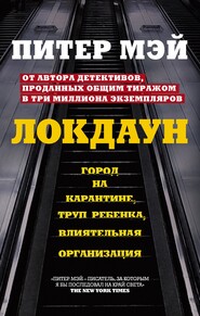 бесплатно читать книгу Локдаун автора Питер Мэй