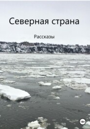 бесплатно читать книгу Северная страна автора Алиса Гурбанов