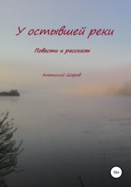 бесплатно читать книгу У остывшей реки автора Анатолий Шаров
