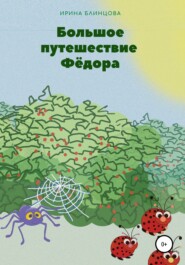 бесплатно читать книгу Большое путешествие Фёдора автора Ирина Блинцова