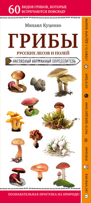 бесплатно читать книгу Грибы русских лесов и полей автора Михаил Куценко