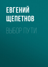 бесплатно читать книгу Выбор пути автора Евгений Щепетнов