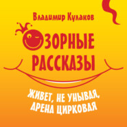 бесплатно читать книгу Озорные рассказы автора Владимир Кулаков