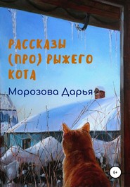 бесплатно читать книгу Рассказы (про) рыжего кота автора Дарья Морозова