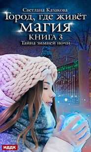 бесплатно читать книгу Тайна зимней ночи автора Светлана Казакова