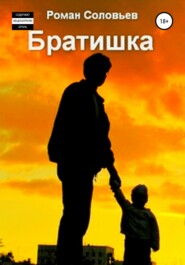 бесплатно читать книгу Братишка автора Роман Соловьев
