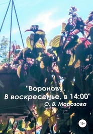 бесплатно читать книгу «Воронову. В воскресенье, в 14:00» автора Ольга Морозова