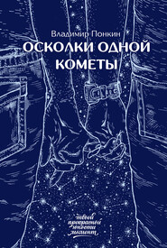 бесплатно читать книгу Осколки одной кометы автора Владимир Понкин