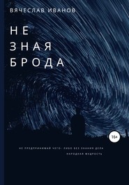 бесплатно читать книгу Не зная брода автора Вячеслав Иванов
