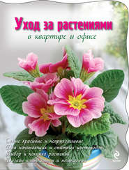 бесплатно читать книгу Уход за растениями в квартире и офисе автора Елена Ененко