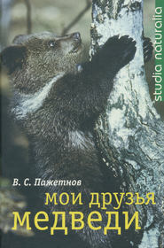 бесплатно читать книгу Мои друзья медведи автора Валентин Пажетнов