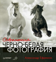 бесплатно читать книгу Современная черно-белая фотография автора Александр Ефремов