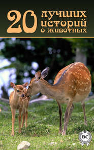 бесплатно читать книгу 20 лучших историй о животных автора  Коллектив авторов