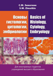 бесплатно читать книгу Основы гистологии, цитологии, эмбриологии / Basics of Histology, Cytology, Embryology автора Сергей Зиматкин