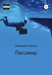 бесплатно читать книгу Пассажир автора Иммануил Платов