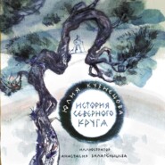 бесплатно читать книгу История Северного круга автора Юлия Кузнецова