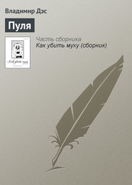 бесплатно читать книгу Пуля автора Владимир Дэс