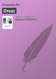 бесплатно читать книгу Откос автора Владимир Дэс