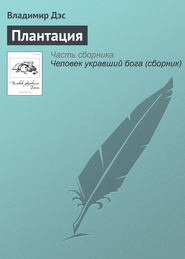 бесплатно читать книгу Плантация автора Владимир Дэс