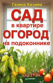 бесплатно читать книгу Сад в квартире, огород на подоконнике автора Галина Кизима