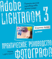 бесплатно читать книгу Adobe Lightroom 3. Практическое руководство фотографа автора Владимир Котов
