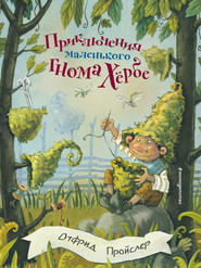 бесплатно читать книгу Приключения маленького гнома Хёрбе автора Отфрид Пройслер